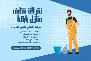 شركة تنظيف منازل بابها
