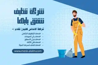 أفضل شركة تنظيف شقق بابها