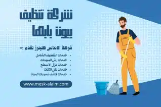 خدمات ومزايا شركة تنظيف بيوت بابها