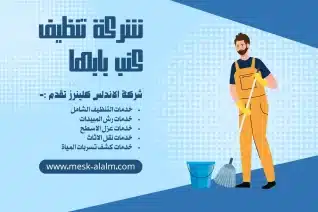 شركة تنظيف كنب بابها