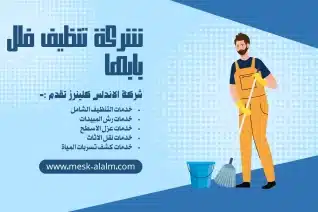 أفضل شركة تنظيف فلل بابها
