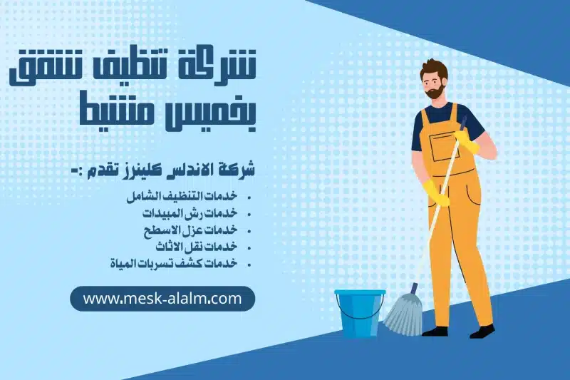 شركة تنظيف شقق بخميس مشيط